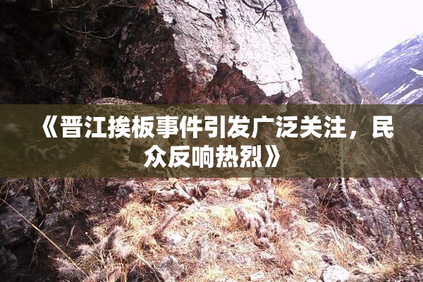 《晋江挨板事件引发广泛关注，民众反响热烈》
