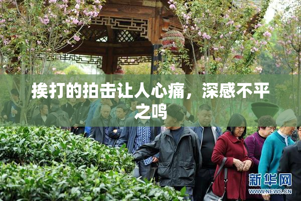 挨打的拍击让人心痛，深感不平之鸣
