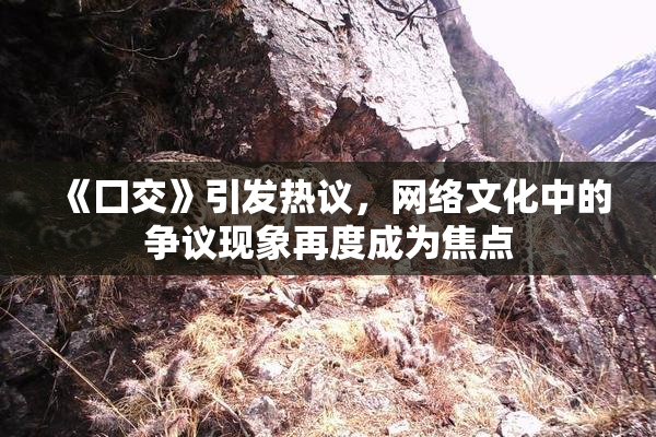 《囗交》引发热议，网络文化中的争议现象再度成为焦点
