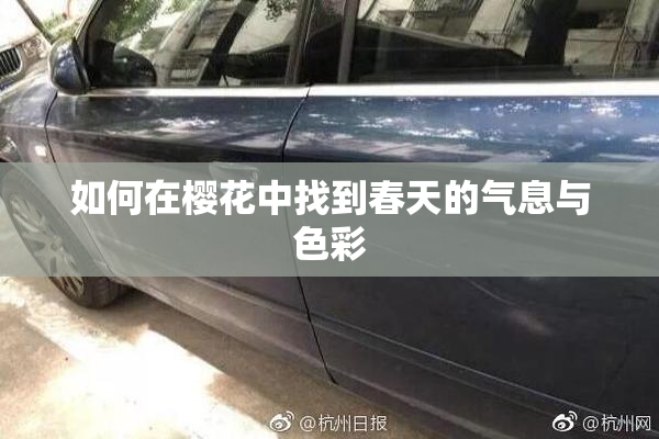 如何在樱花中找到春天的气息与色彩
