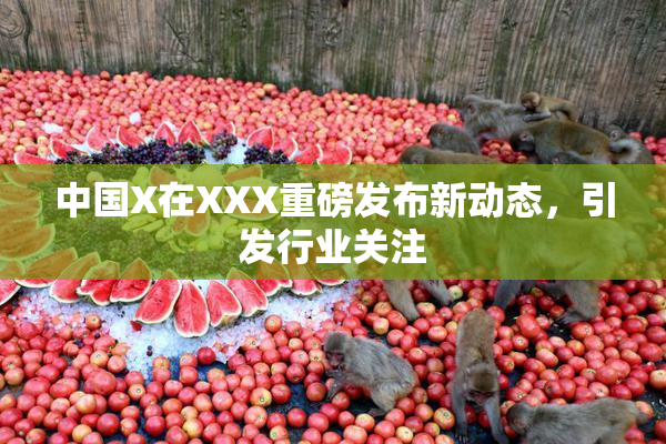 中国X在XXX重磅发布新动态，引发行业关注