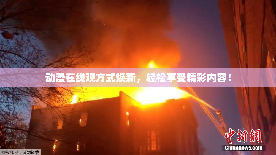 动漫在线观方式焕新，轻松享受精彩内容！