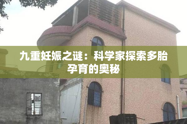 九重妊娠之谜：科学家探索多胎孕育的奥秘