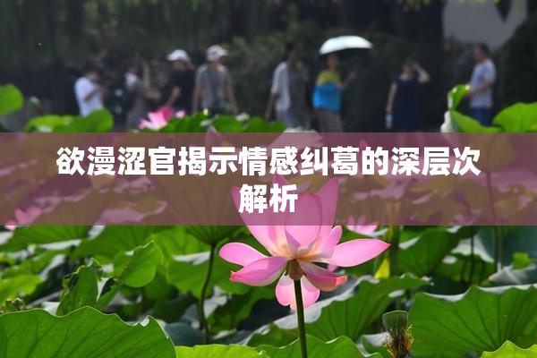 欲漫涩官揭示情感纠葛的深层次解析