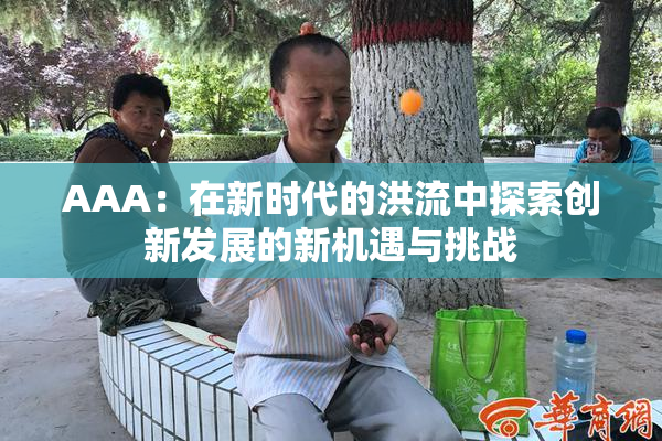 AAA：在新时代的洪流中探索创新发展的新机遇与挑战