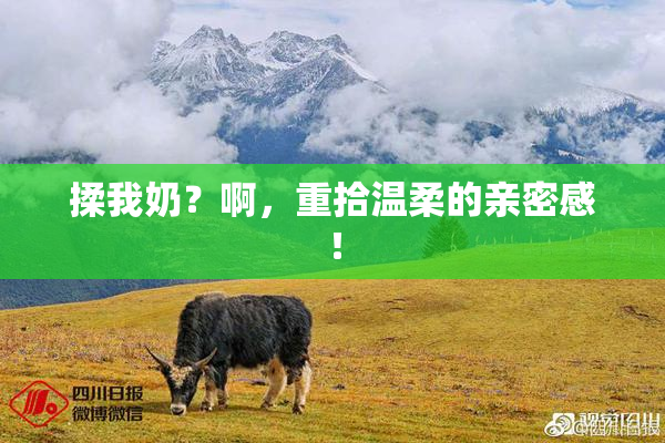 揉我奶？啊，重拾温柔的亲密感！