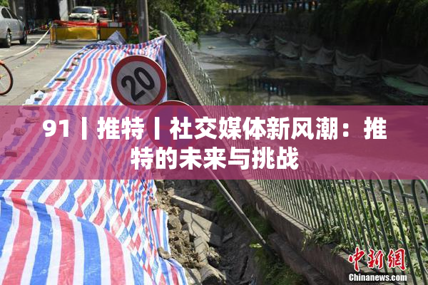 91丨推特丨社交媒体新风潮：推特的未来与挑战