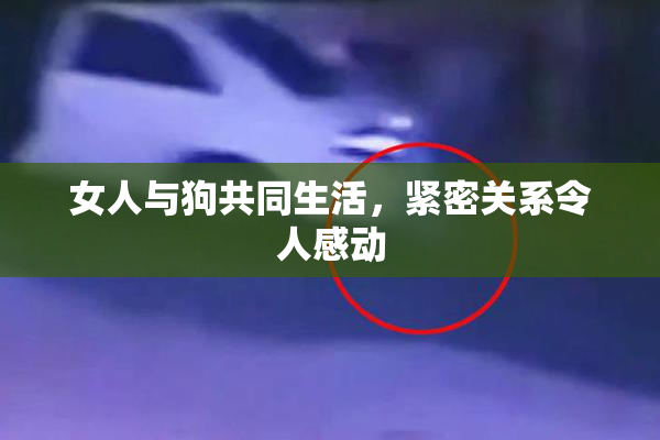 女人与狗共同生活，紧密关系令人感动