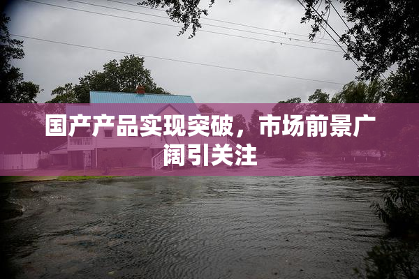 国产产品实现突破，市场前景广阔引关注