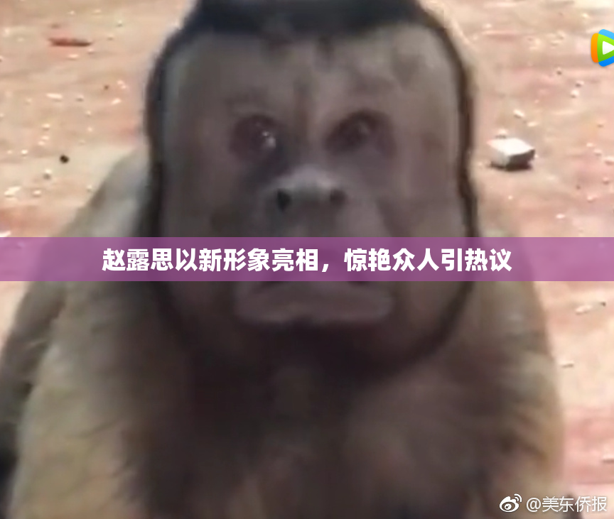 赵露思以新形象亮相，惊艳众人引热议