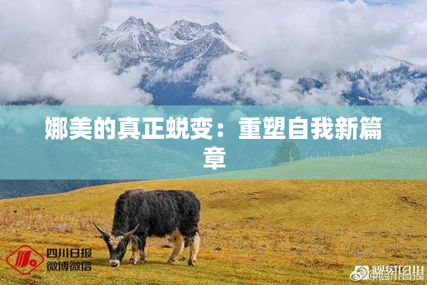 娜美的真正蜕变：重塑自我新篇章