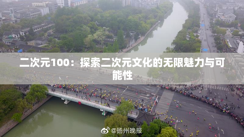 二次元100：探索二次元文化的无限魅力与可能性