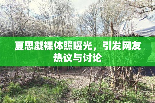 夏思凝裸体照曝光，引发网友热议与讨论