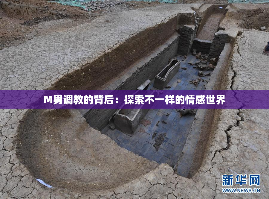 M男调教的背后：探索不一样的情感世界