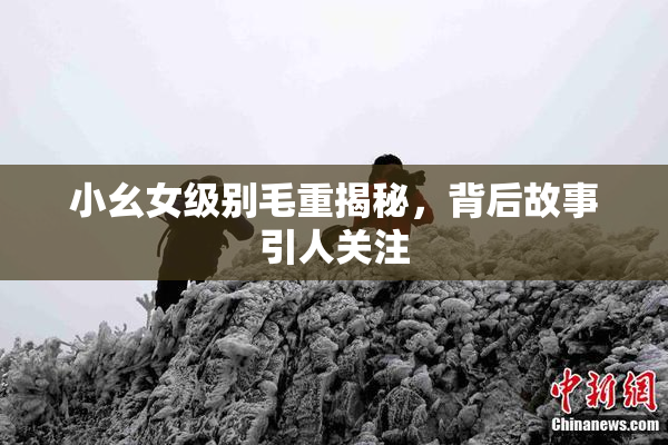 小幺女级别毛重揭秘，背后故事引人关注