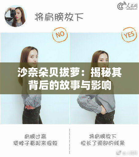 沙奈朵贝拔萝：揭秘其背后的故事与影响