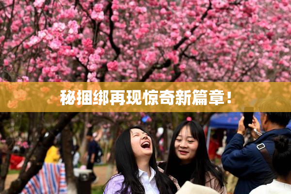 秘捆绑再现惊奇新篇章！