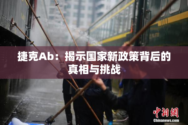 捷克Ab：揭示国家新政策背后的真相与挑战