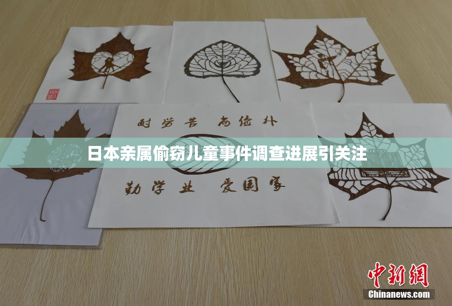 日本亲属偷窃儿童事件调查进展引关注