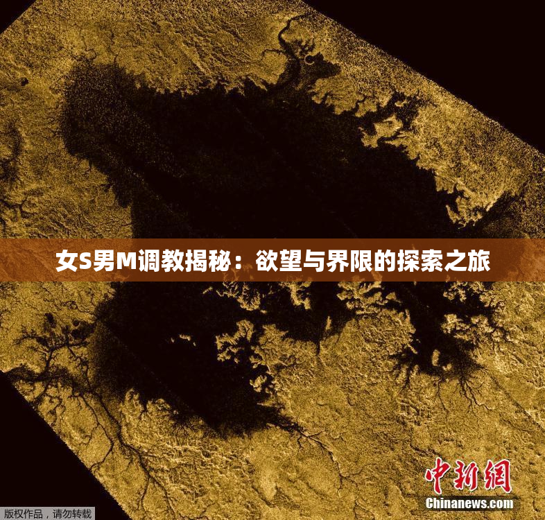 女S男M调教揭秘：欲望与界限的探索之旅