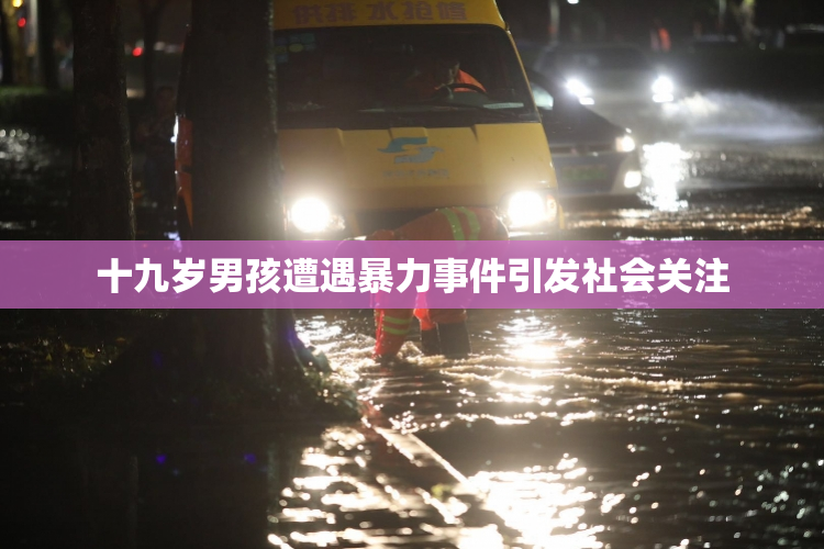 十九岁男孩遭遇暴力事件引发社会关注