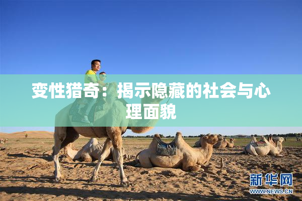 变性猎奇：揭示隐藏的社会与心理面貌