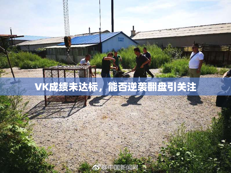 VK成绩未达标，能否逆袭翻盘引关注