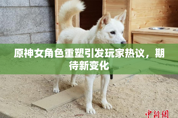 原神女角色重塑引发玩家热议，期待新变化