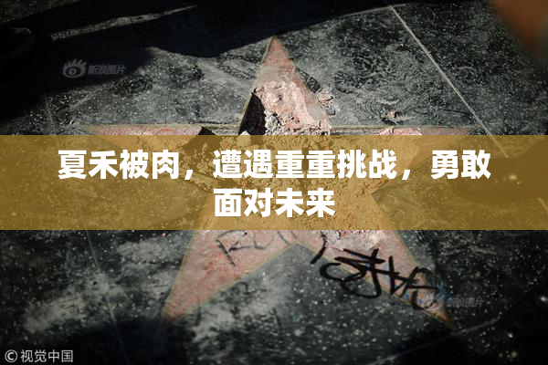 夏禾被肉，遭遇重重挑战，勇敢面对未来
