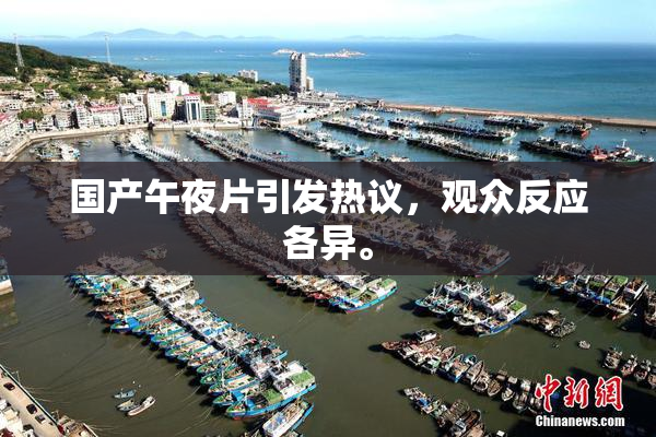 国产午夜片引发热议，观众反应各异。