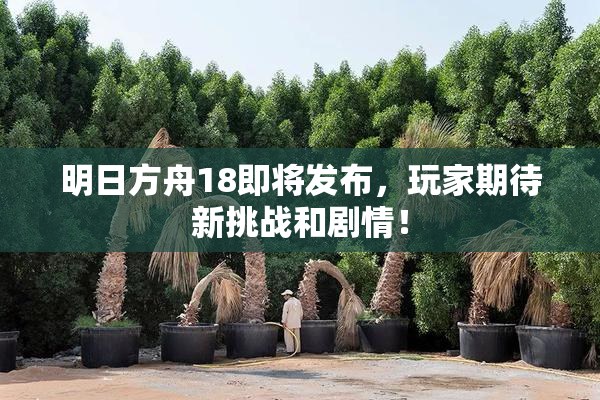 明日方舟18即将发布，玩家期待新挑战和剧情！