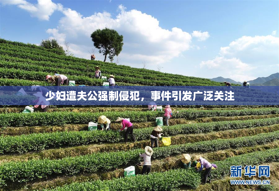 少妇遭夫公强制侵犯，事件引发广泛关注