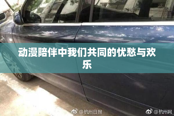 动漫陪伴中我们共同的忧愁与欢乐