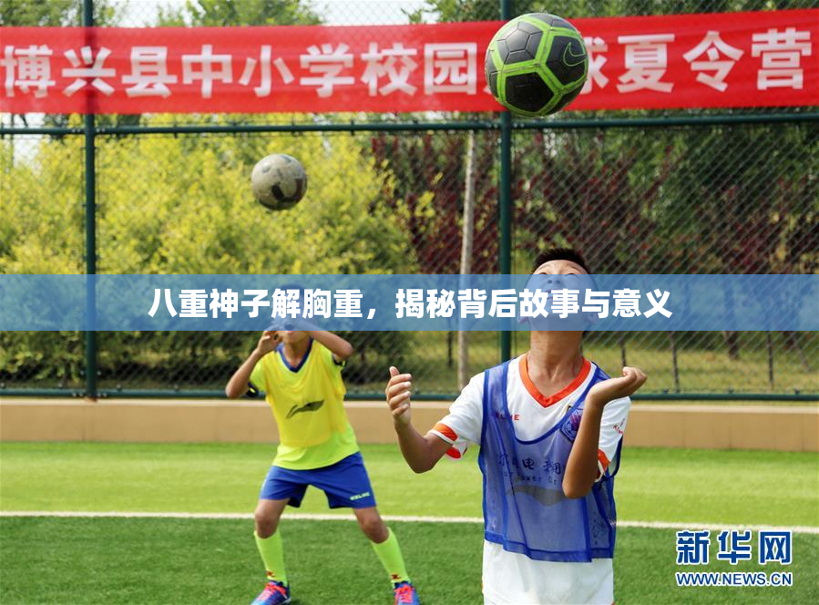 八重神子解胸重，揭秘背后故事与意义