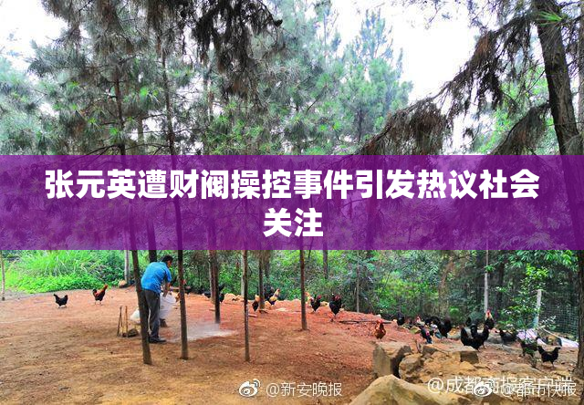 张元英遭财阀操控事件引发热议社会关注