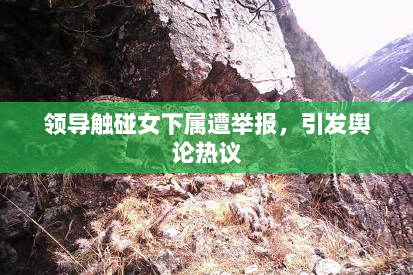 领导触碰女下属遭举报，引发舆论热议