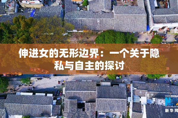 伸进女的无形边界：一个关于隐私与自主的探讨