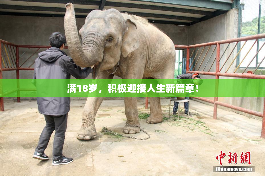 满18岁，积极迎接人生新篇章！