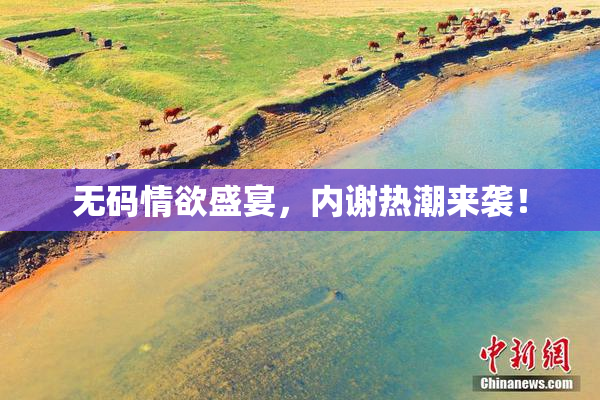无码情欲盛宴，内谢热潮来袭！