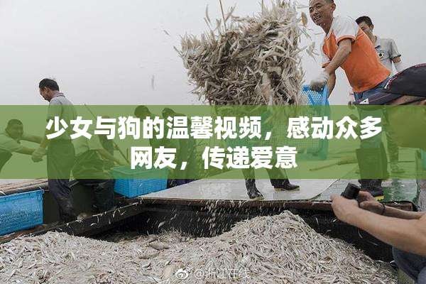 少女与狗的温馨视频，感动众多网友，传递爱意