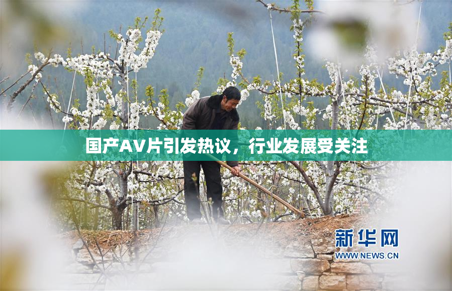 国产AV片引发热议，行业发展受关注