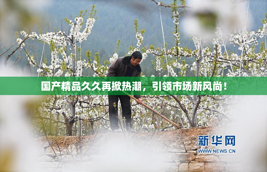 国产精品久久再掀热潮，引领市场新风尚！