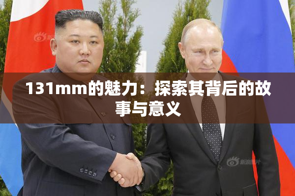 131mm的魅力：探索其背后的故事与意义