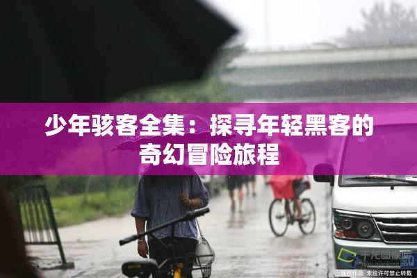 少年骇客全集：探寻年轻黑客的奇幻冒险旅程