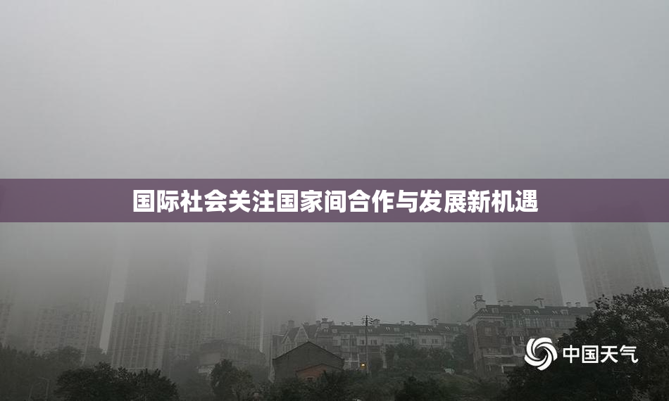 国际社会关注国家间合作与发展新机遇