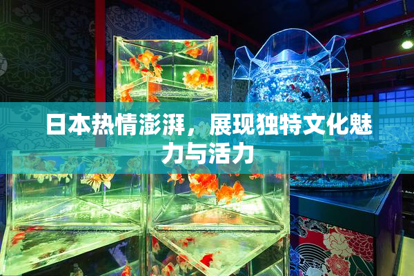 日本热情澎湃，展现独特文化魅力与活力