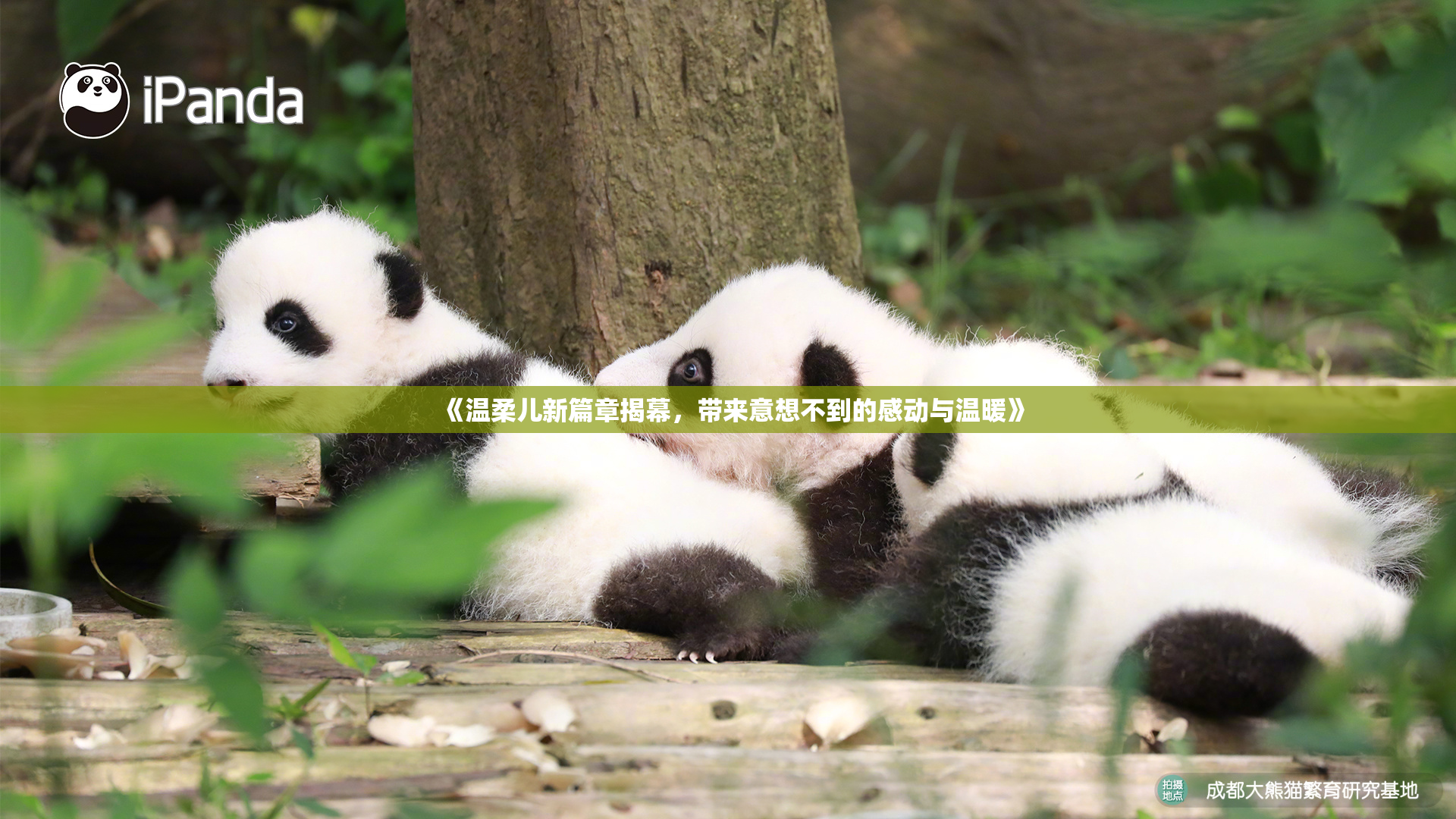 《温柔儿新篇章揭幕，带来意想不到的感动与温暖》
