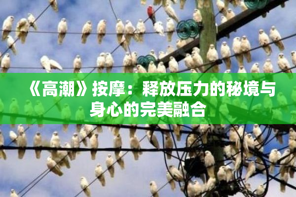 《高潮》按摩：释放压力的秘境与身心的完美融合