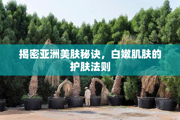 揭密亚洲美肤秘诀，白嫩肌肤的护肤法则