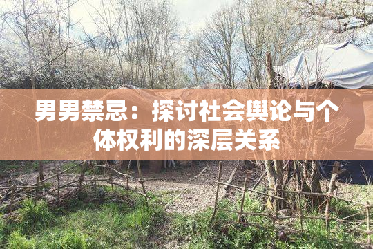 男男禁忌：探讨社会舆论与个体权利的深层关系